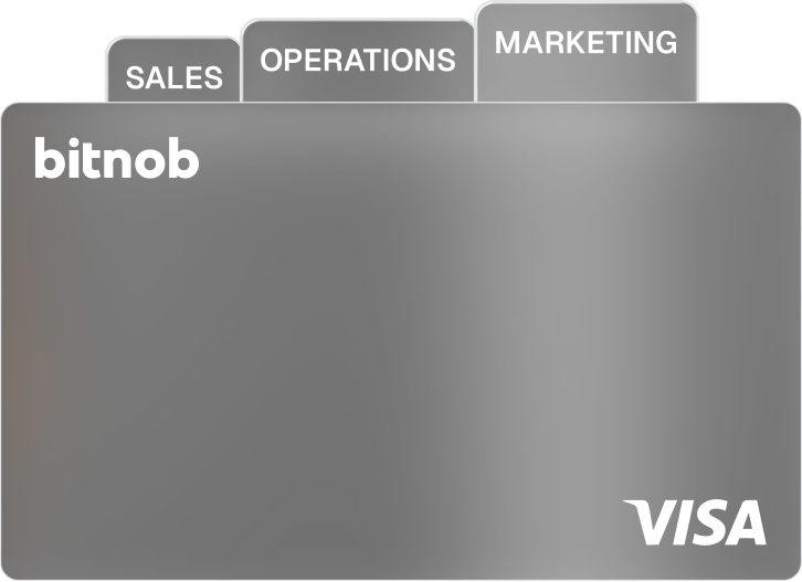 Frosted Bitnob Visa Card